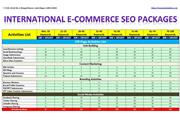 SEO Service in India thumbnail 3