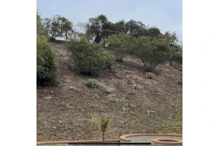 Palacios Landscaping image 4