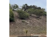 Palacios Landscaping thumbnail 4
