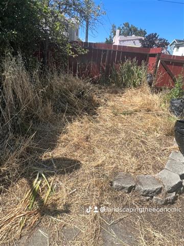 Weeds whacked. Clean up yard image 4