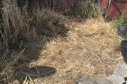 Weeds whacked. Clean up yard thumbnail