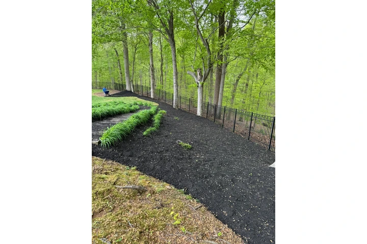 Hidalgo Landscaping Services image 9