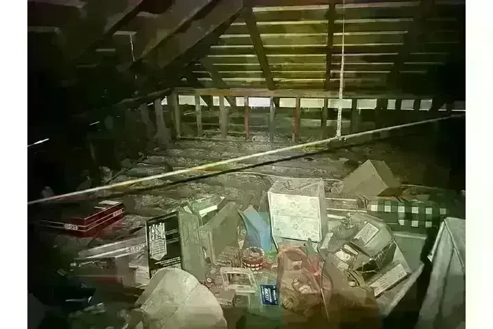 PEST CONTROL image 1