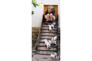 $400 : Cachorros chihuahua en adopció thumbnail