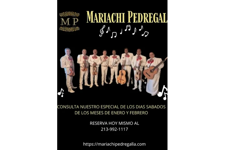 Mariachi Pedregal image 1