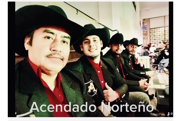 ACENDADO NORTEÑO image 2