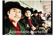 ACENDADO NORTEÑO thumbnail