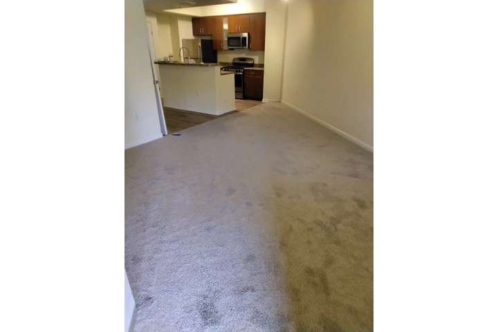 Pinto flooring image 6