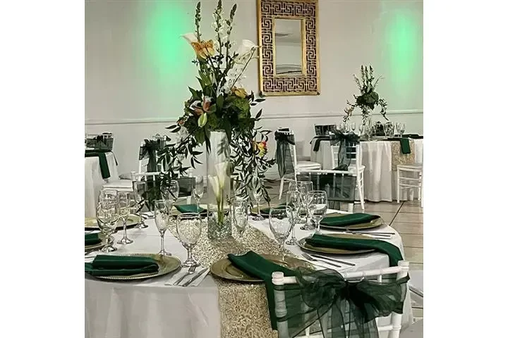 SALÓN DE FIESTAS image 6