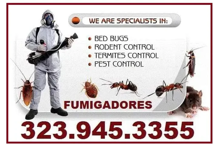 FUMIGATION SHEDULE INSPECTION image 10