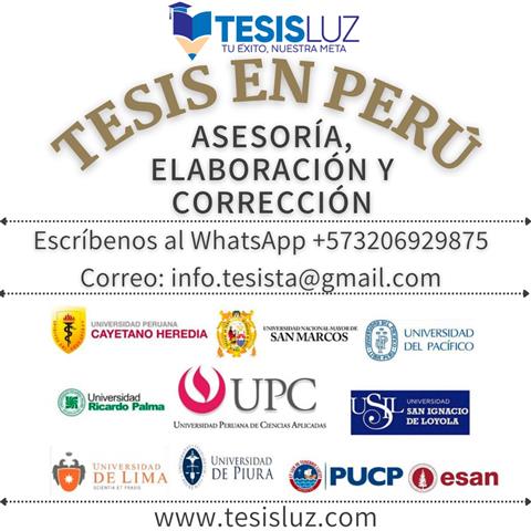 Asesoría de tesis image 1