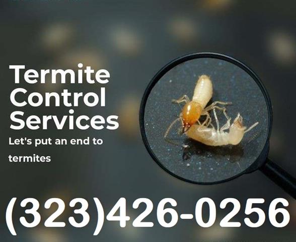 *TERMITE CONTROL GARANTIZADOS* image 2