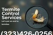 *TERMITE CONTROL GARANTIZADOS* thumbnail