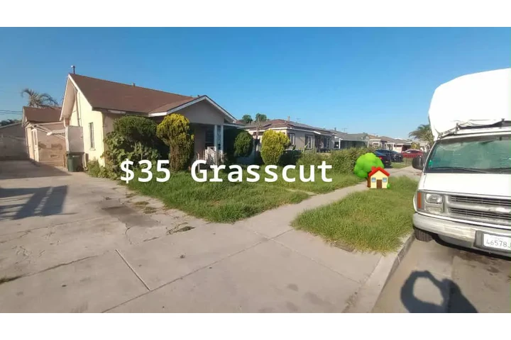 Corte de pasto 🌿👷🏼 image 5