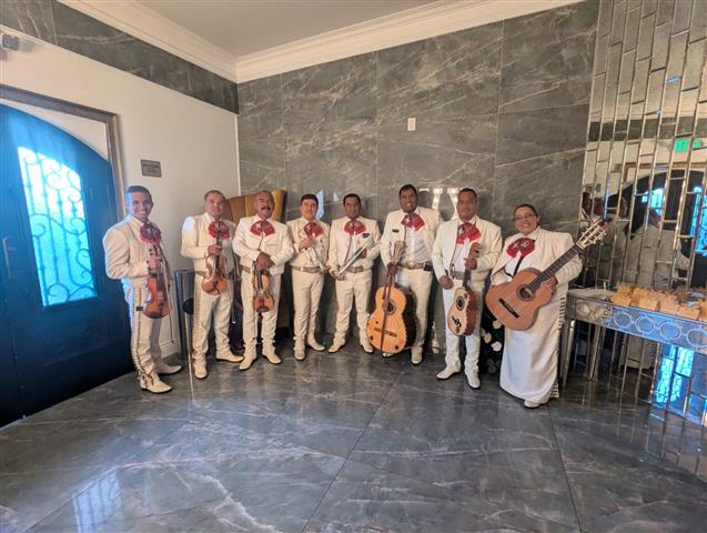 Mariachi pedregal image 1