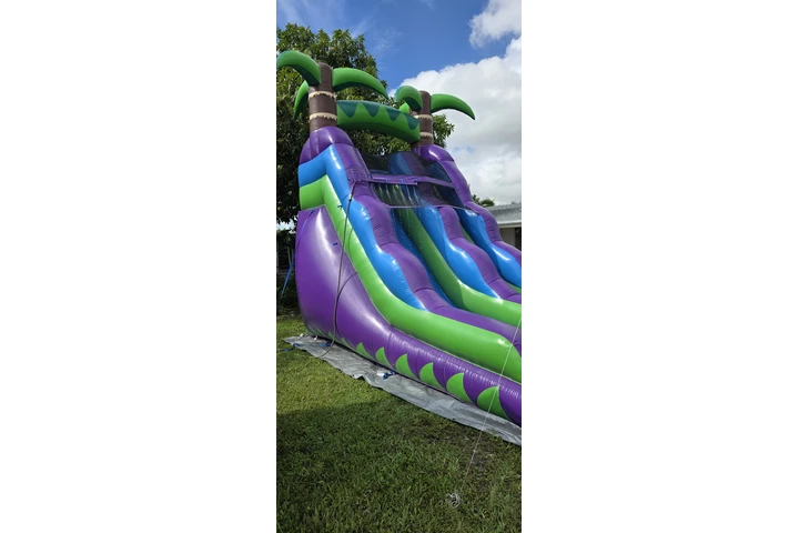 $200 : Water Slide image 4