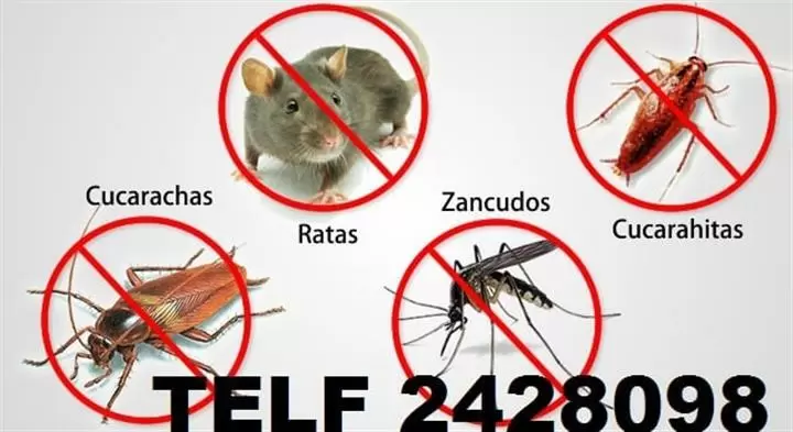 FUMIGACIONES Monteserrín image 2