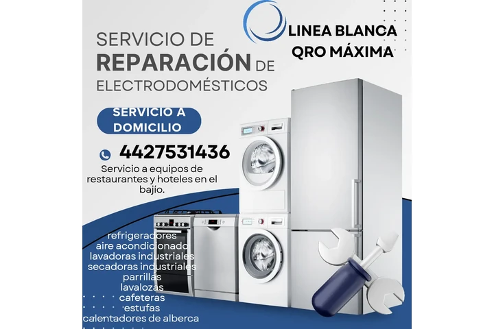 Lineablanca reparación profesi image 1