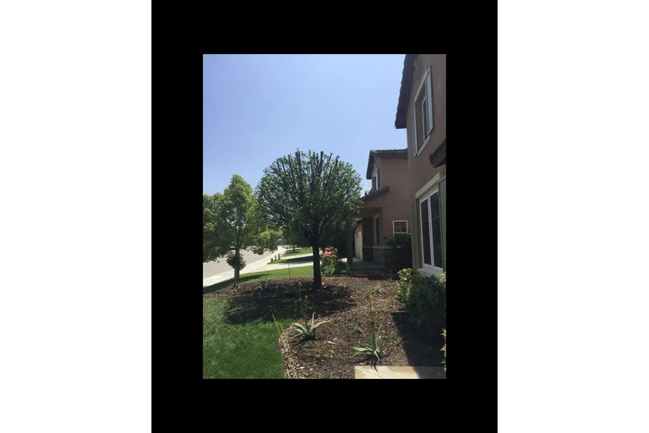 Economic Tree Service image 5