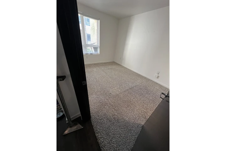 Carpet Cleaning image 6