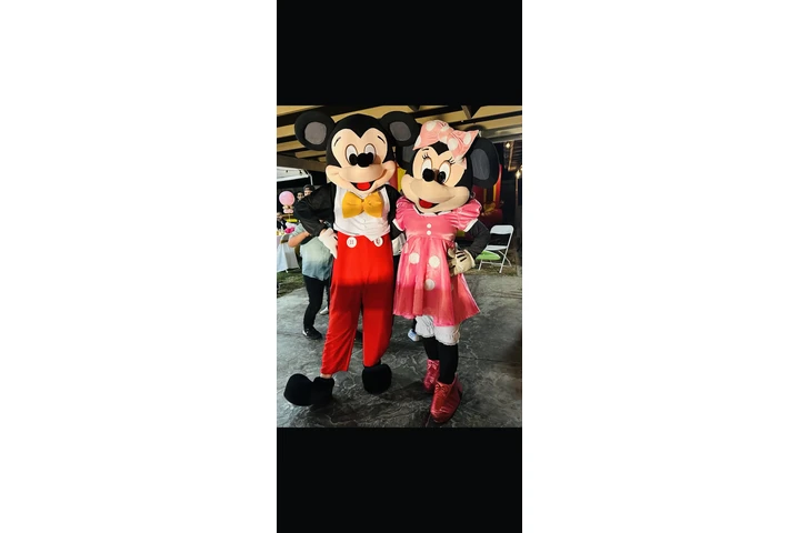 Personajes para tu fiesta! image 4