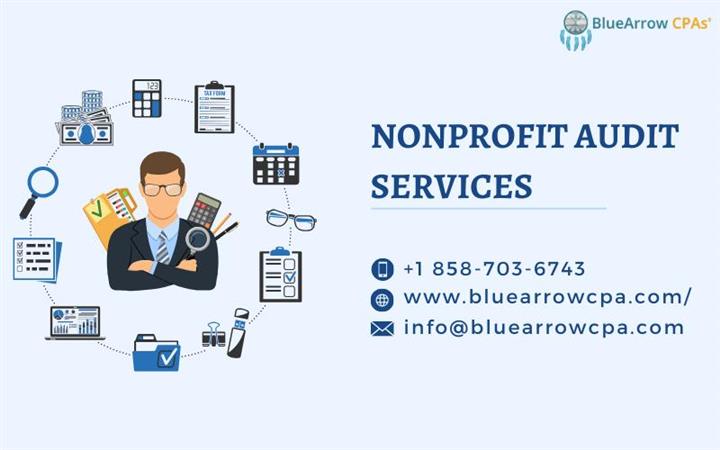 Audit Services to Nonprofits image 1