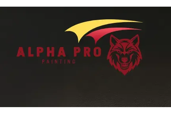 ALPHA PRO PAINTING image 1