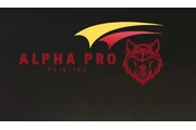 ALPHA PRO PAINTING