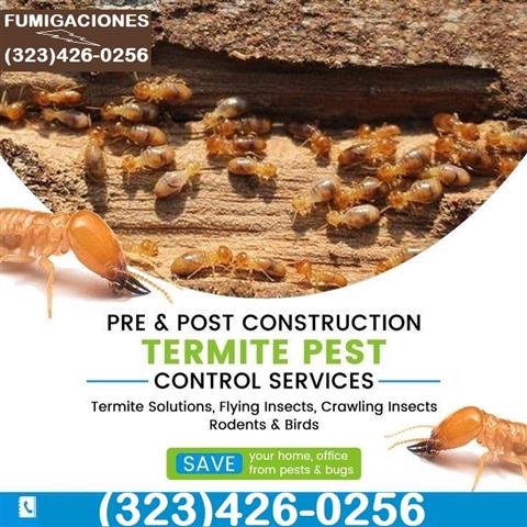 *TERMITE CONTROL GARANTIZADOS* image 8