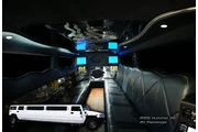Party bus special thumbnail