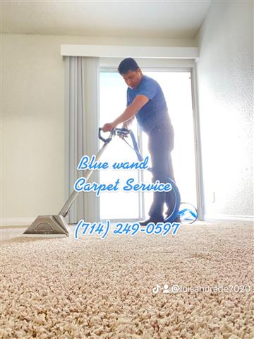 Blue Wand Carpet Service image 1