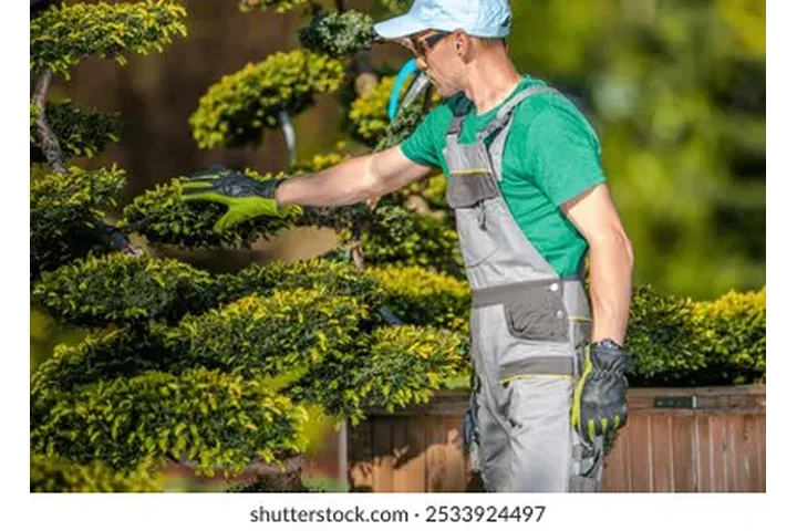 🗞️Aplica ahora mismo🗞️ image 3