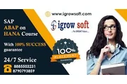 SAP S4 HANA Training Igrowsoft en Madrid
