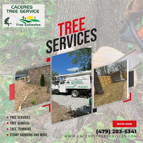Caceres Tree Service image 5