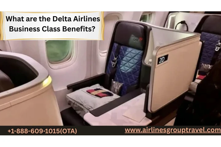 Delta Airlines Business Class image 1