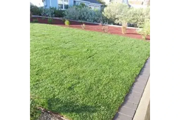 Magnolia Landscaping LLC image 1