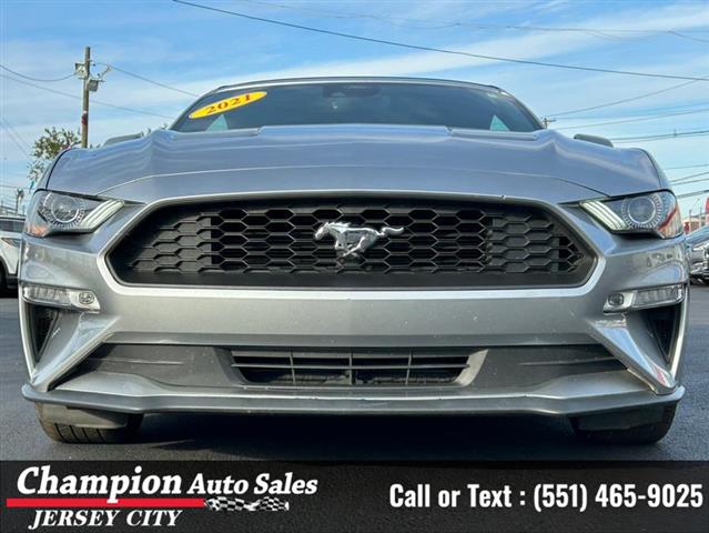 Used 2021 Mustang EcoBoost Pr image 3