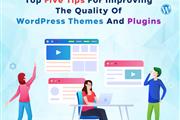 WordPress Themes and Plugins