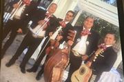 MARIACHI LOS POTRILLOS thumbnail