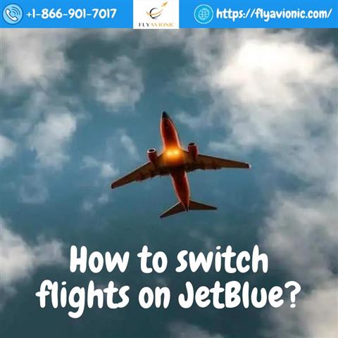 Switch flights on JetBlue image 1