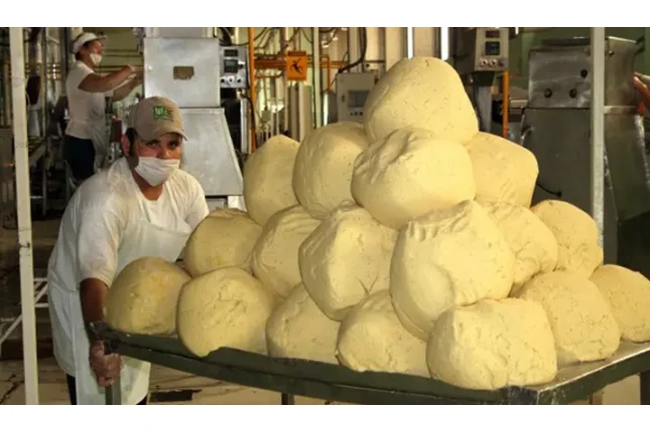 Productioin De Tortillas image 2