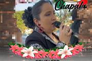 Mariachis en Tampa thumbnail