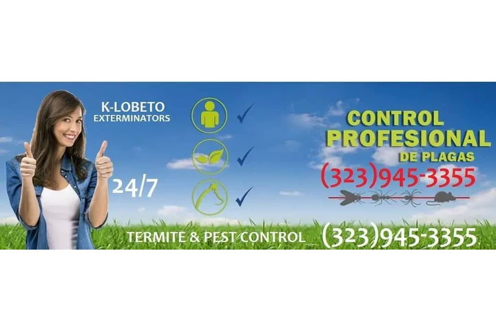 FUMIGACIONES SANTA ANA 24/7.- image 8