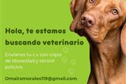 Se necesita Veterinario en Ciudad Panama