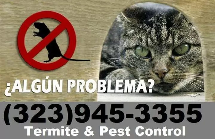 PEST CONTROL SERVICES NEAR ME. image 5