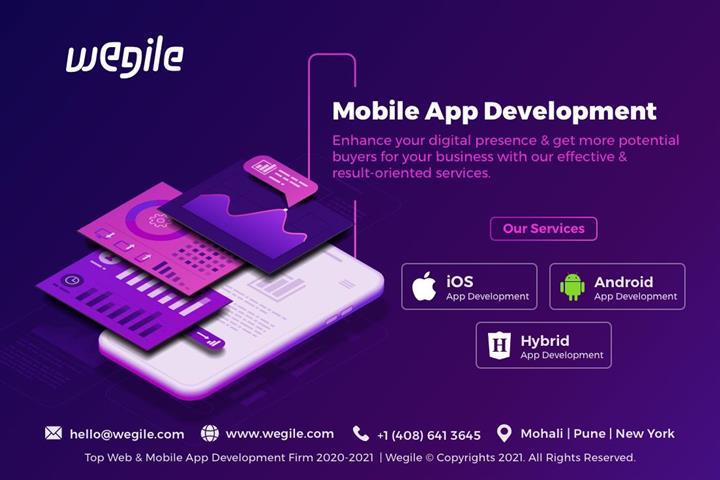 Web & Mobile App Development image 1