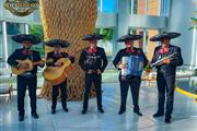 Mariachi en punta cana thumbnail