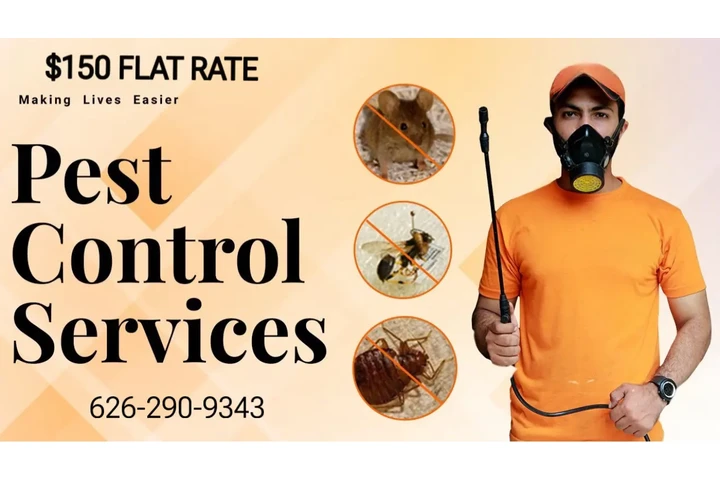 Fumigacion $150 image 1