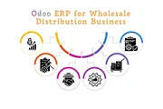 Odoo Wholesale Distribution en Montreal