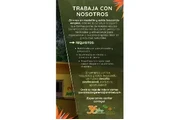 Impulsadora en Medellin